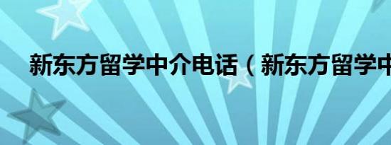 新东方留学中介电话（新东方留学中介）