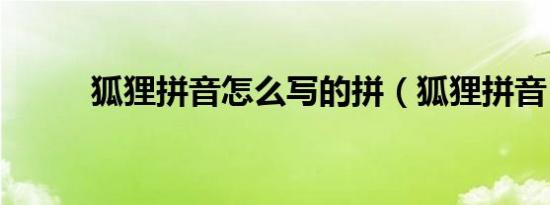 狐狸拼音怎么写的拼（狐狸拼音）