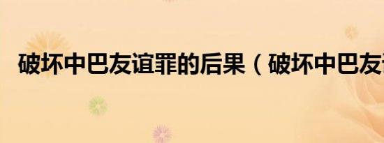 破坏中巴友谊罪的后果（破坏中巴友谊罪）