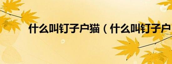 什么叫钉子户猫（什么叫钉子户）