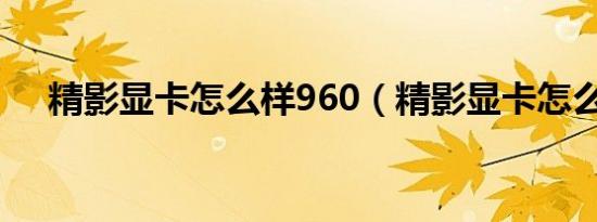精影显卡怎么样960（精影显卡怎么样）