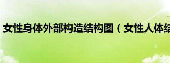 女性身体外部构造结构图（女性人体结构图）