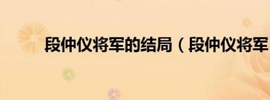 段仲仪将军的结局（段仲仪将军）