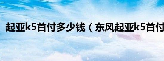 起亚k5首付多少钱（东风起亚k5首付多少）
