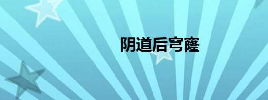 阴道后穹窿