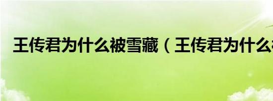 王传君为什么被雪藏（王传君为什么被禁）
