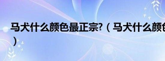 马犬什么颜色最正宗?（马犬什么颜色最正宗）