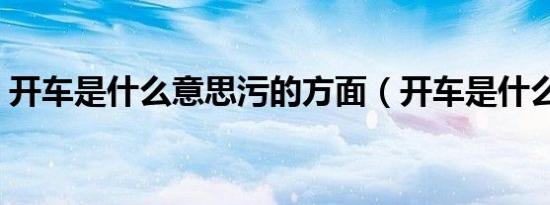 开车是什么意思污的方面（开车是什么意思）