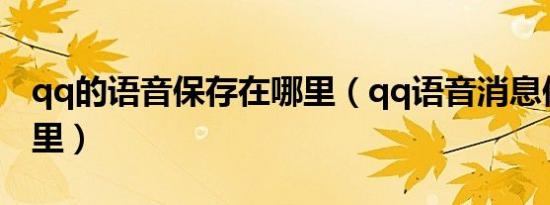 qq的语音保存在哪里（qq语音消息保存在哪里）