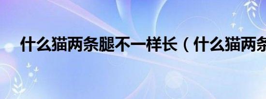 什么猫两条腿不一样长（什么猫两条腿）