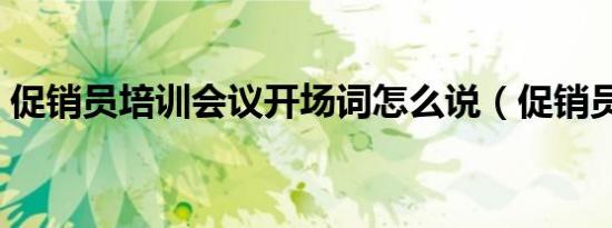 促销员培训会议开场词怎么说（促销员培训）