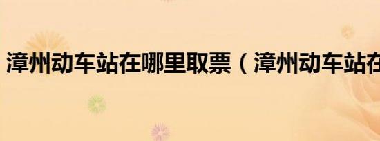 漳州动车站在哪里取票（漳州动车站在哪里）