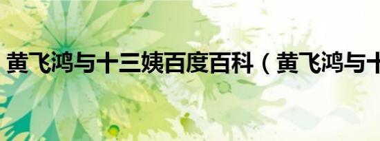 黄飞鸿与十三姨百度百科（黄飞鸿与十三姨）