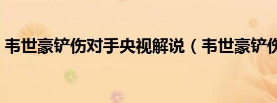 韦世豪铲伤对手央视解说（韦世豪铲伤对手）