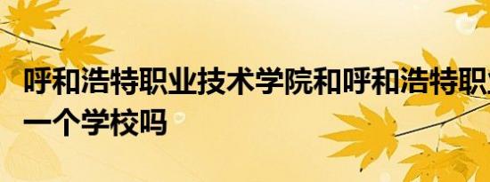 呼和浩特职业技术学院和呼和浩特职业学院是一个学校吗