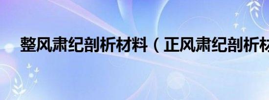 整风肃纪剖析材料（正风肃纪剖析材料）