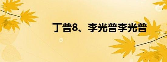 丁普8、李光普李光普