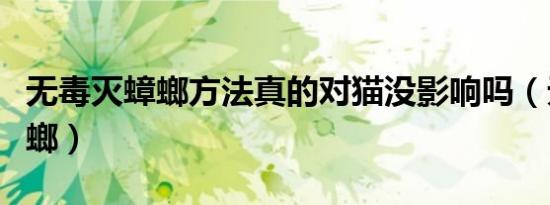 无毒灭蟑螂方法真的对猫没影响吗（无毒灭蟑螂）