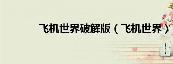 飞机世界破解版（飞机世界）