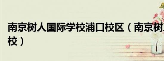 南京树人国际学校浦口校区（南京树人国际学校）