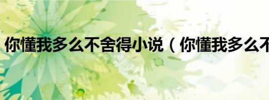 你懂我多么不舍得小说（你懂我多么不舍得）