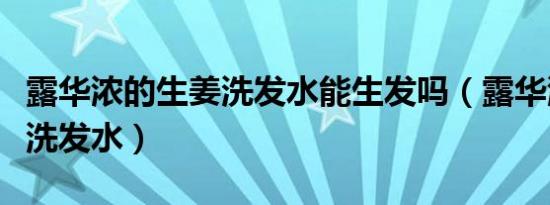 露华浓的生姜洗发水能生发吗（露华浓的生姜洗发水）