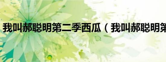 我叫郝聪明第二季西瓜（我叫郝聪明第二季）