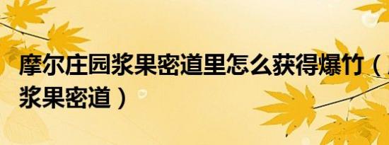 摩尔庄园浆果密道里怎么获得爆竹（摩尔庄园浆果密道）