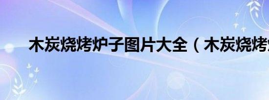 木炭烧烤炉子图片大全（木炭烧烤炉）