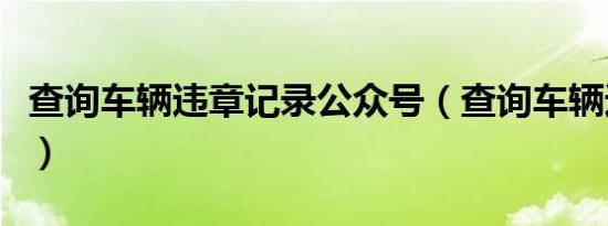 查询车辆违章记录公众号（查询车辆违章记录）