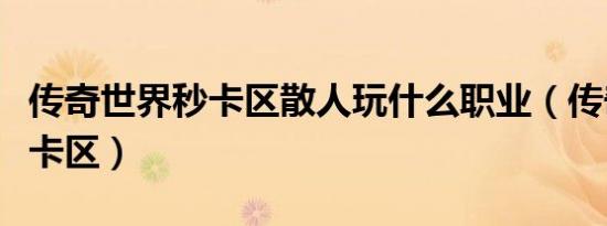 传奇世界秒卡区散人玩什么职业（传奇世界秒卡区）
