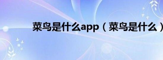 菜鸟是什么app（菜鸟是什么）