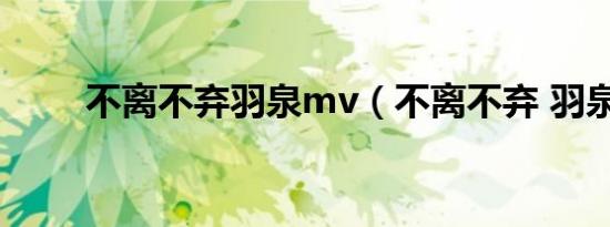 不离不弃羽泉mv（不离不弃 羽泉）