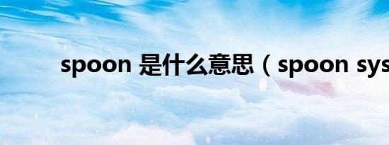 spoon 是什么意思（spoon sys）