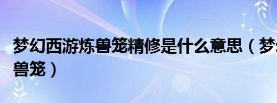 梦幻西游炼兽笼精修是什么意思（梦幻西游炼兽笼）