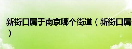 新街口属于南京哪个街道（新街口属于哪个区）