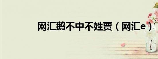 网汇鹅不中不姓贾（网汇e）