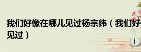 我们好像在哪儿见过杨宗纬（我们好像在哪儿见过）