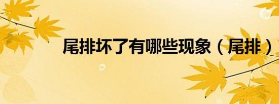 尾排坏了有哪些现象（尾排）