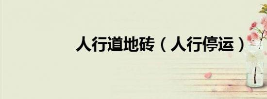 人行道地砖（人行停运）