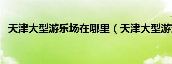 天津大型游乐场在哪里（天津大型游戏厅）