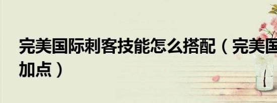 完美国际刺客技能怎么搭配（完美国际 刺客加点）