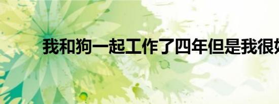 我和狗一起工作了四年但是我很好