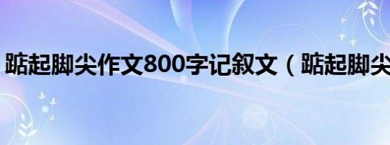 踮起脚尖作文800字记叙文（踮起脚尖 作文）