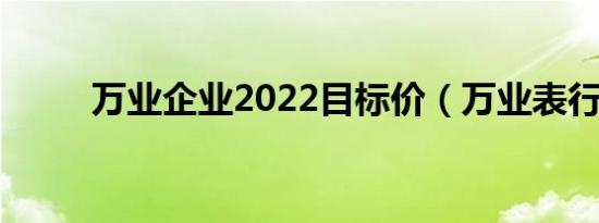 万业企业2022目标价（万业表行）