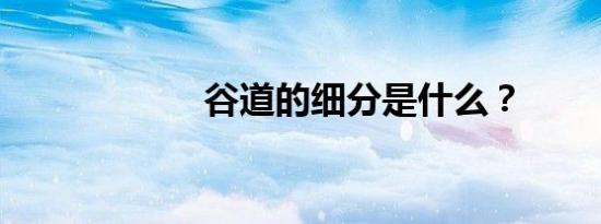 谷道的细分是什么？