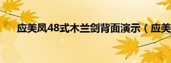 应美凤48式木兰剑背面演示（应美凤）