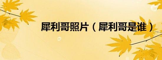 犀利哥照片（犀利哥是谁）