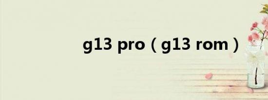 g13 pro（g13 rom）