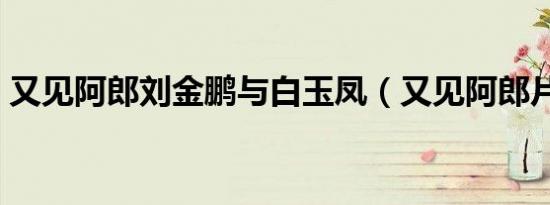又见阿郎刘金鹏与白玉凤（又见阿郎片尾曲）